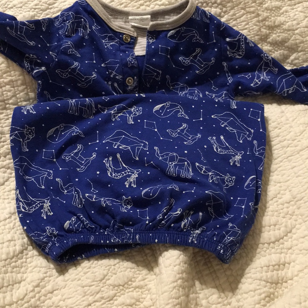 Blue sleeper - Picture 3 of 3